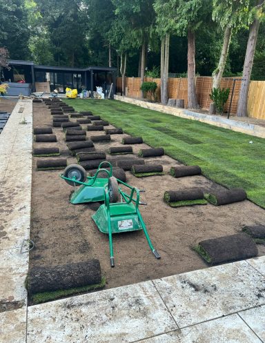180m2 Quality Lawn